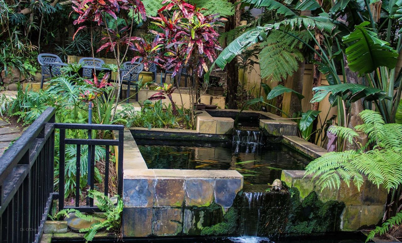 Beach Forest Lodge باليتو المظهر الخارجي الصورة