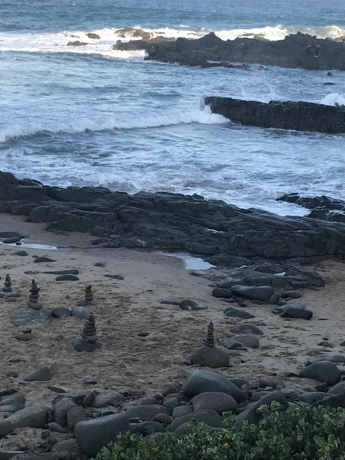 Beach Forest Lodge باليتو المظهر الخارجي الصورة