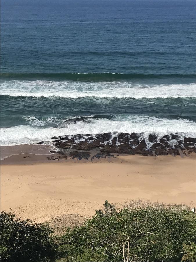 Beach Forest Lodge باليتو المظهر الخارجي الصورة