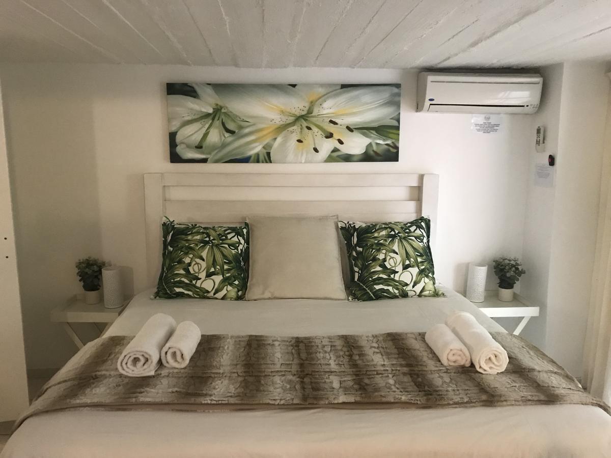 Beach Forest Lodge باليتو المظهر الخارجي الصورة