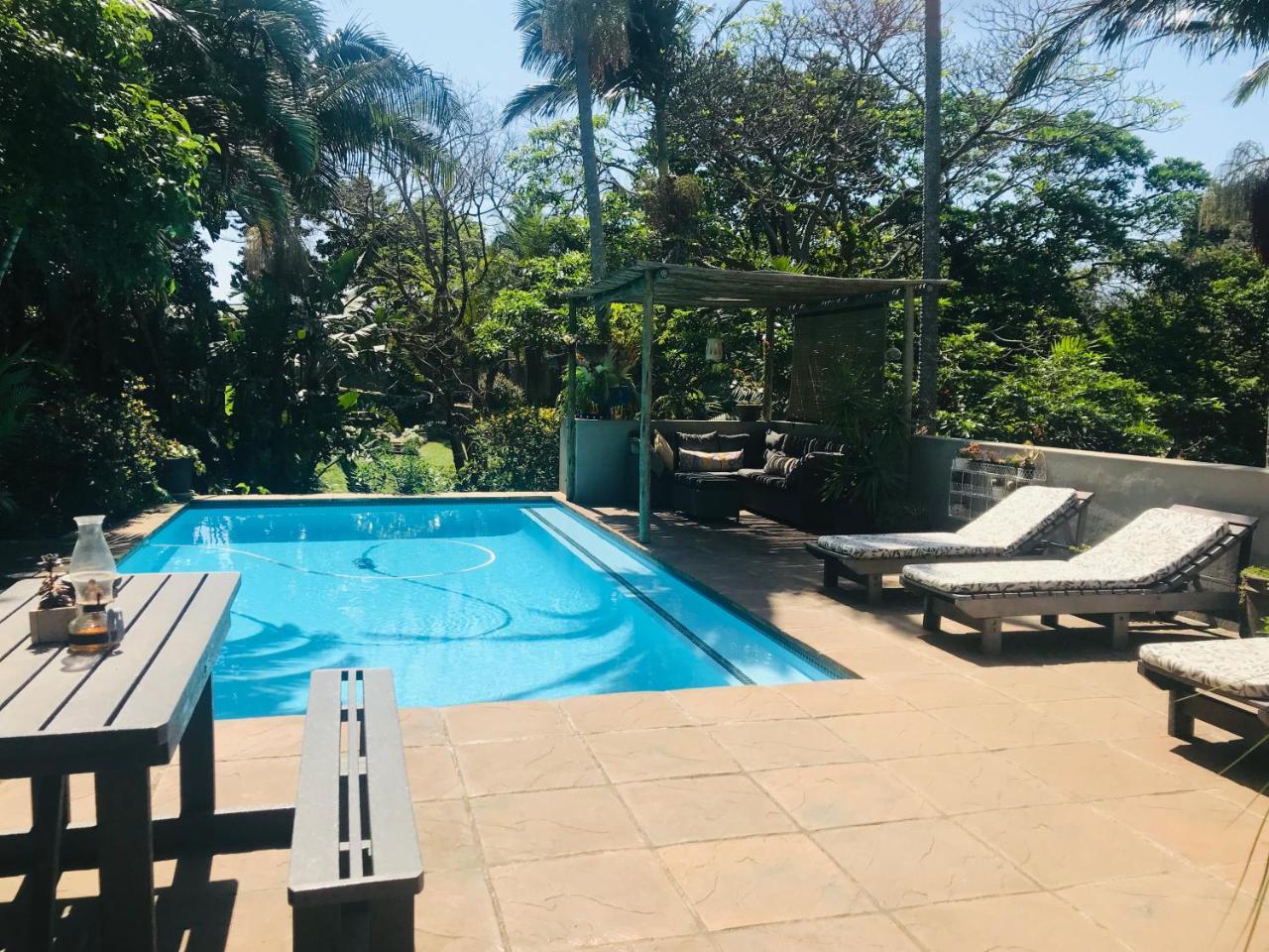 Beach Forest Lodge باليتو المظهر الخارجي الصورة