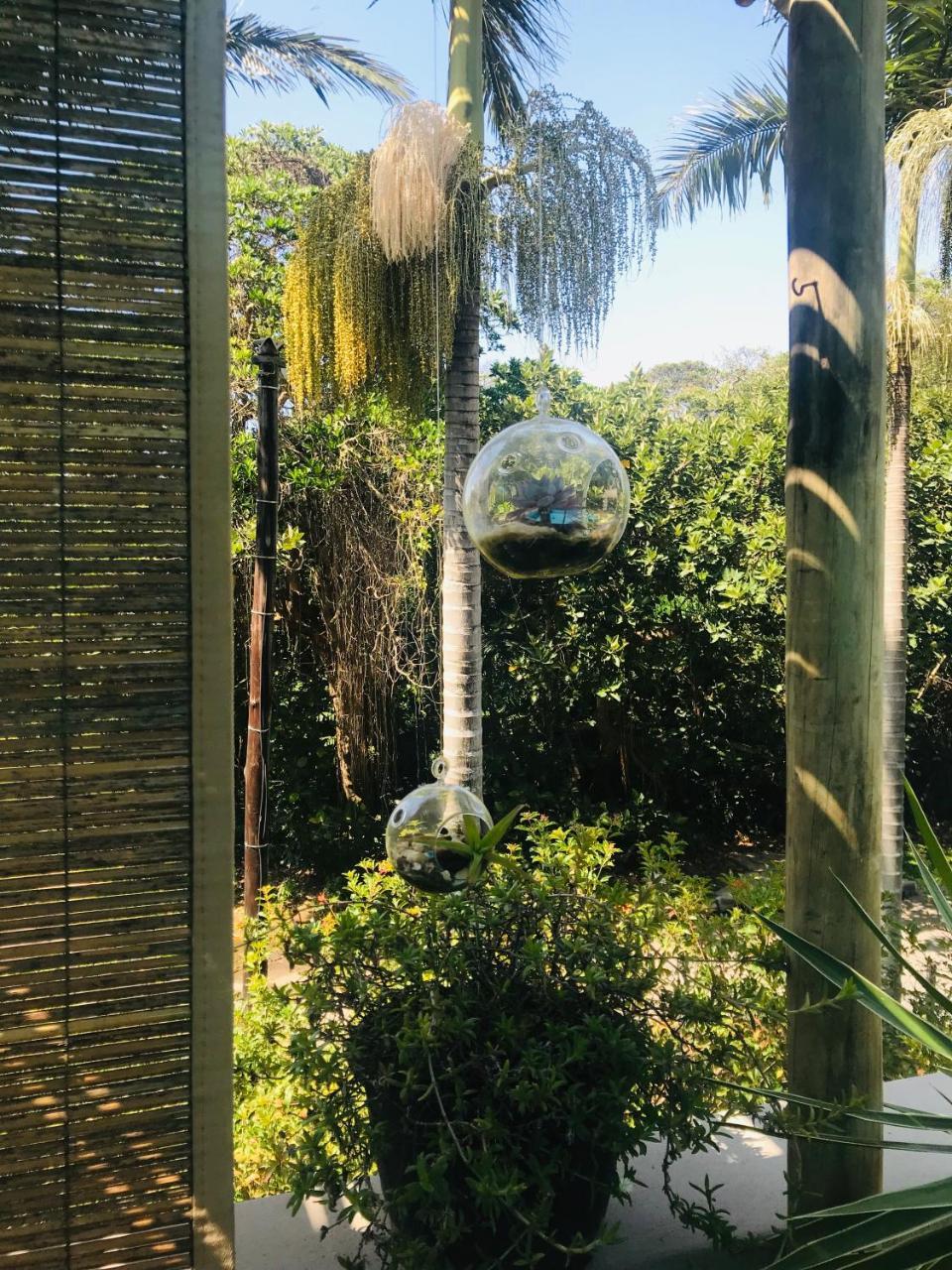 Beach Forest Lodge باليتو المظهر الخارجي الصورة