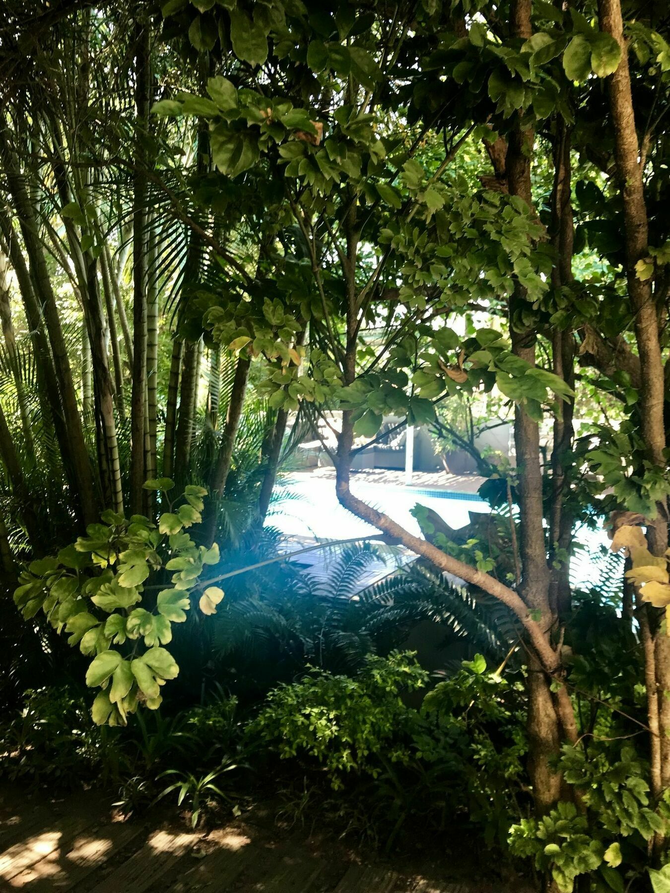 Beach Forest Lodge باليتو المظهر الخارجي الصورة