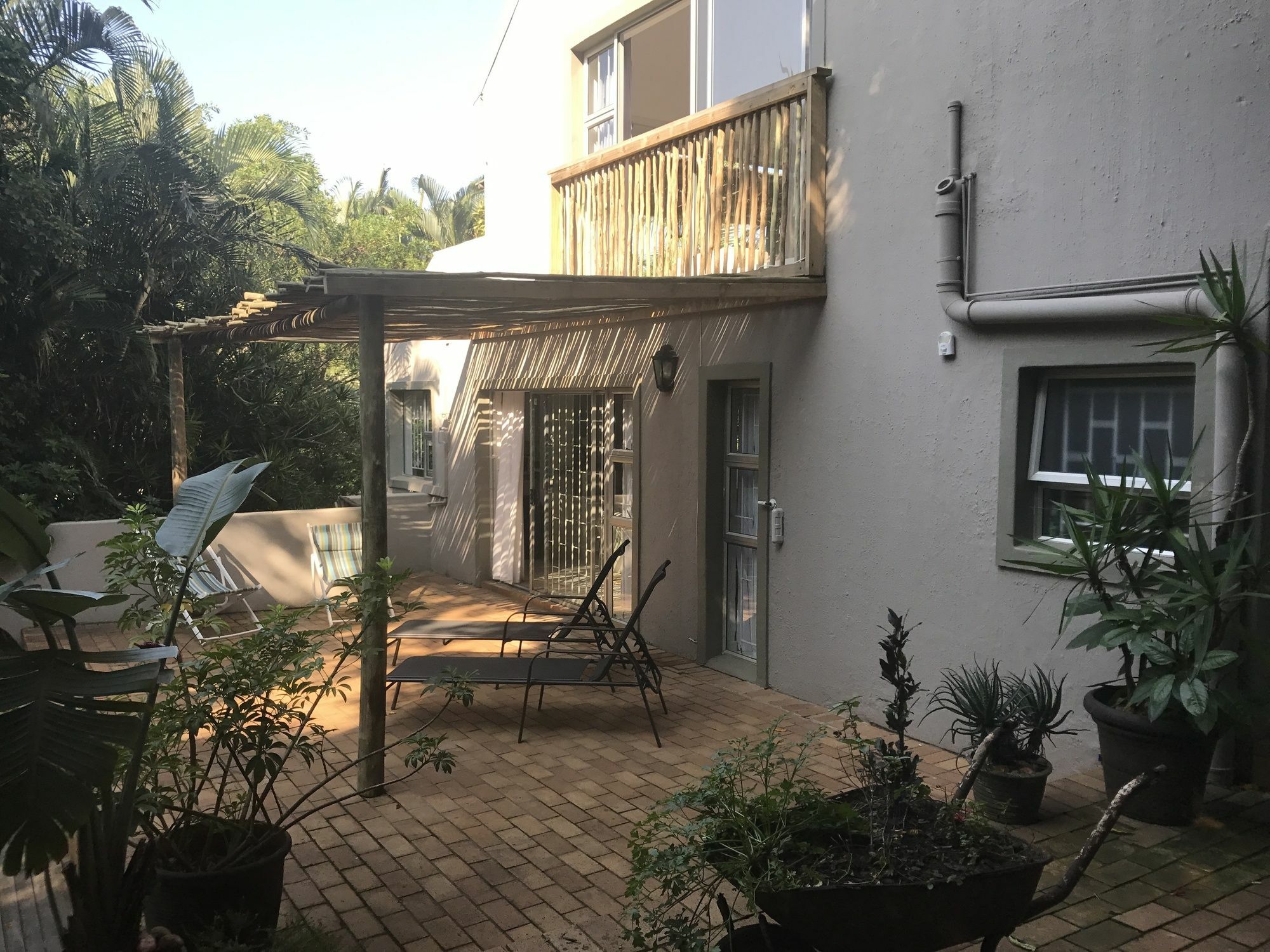 Beach Forest Lodge باليتو المظهر الخارجي الصورة