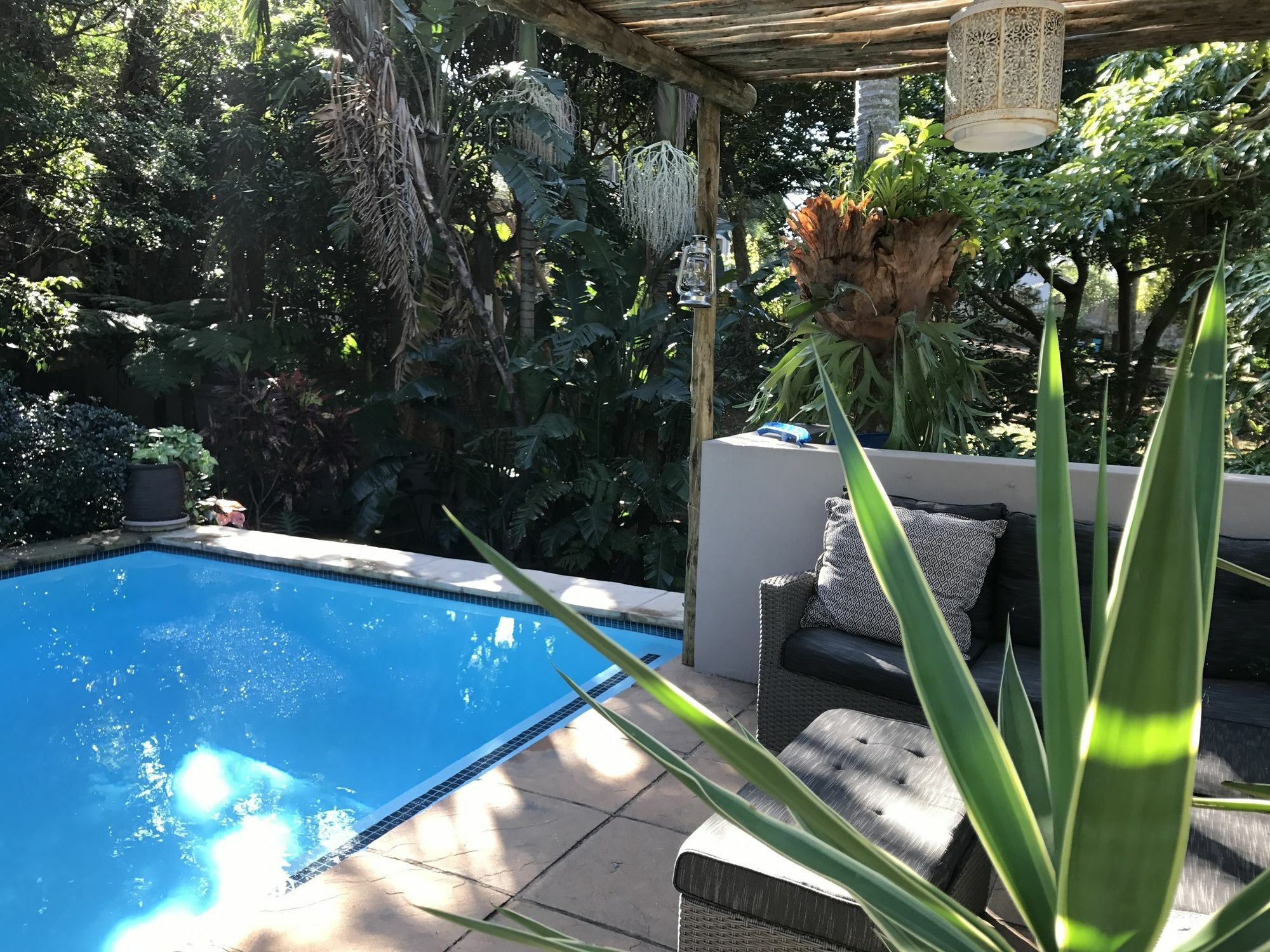 Beach Forest Lodge باليتو المظهر الخارجي الصورة